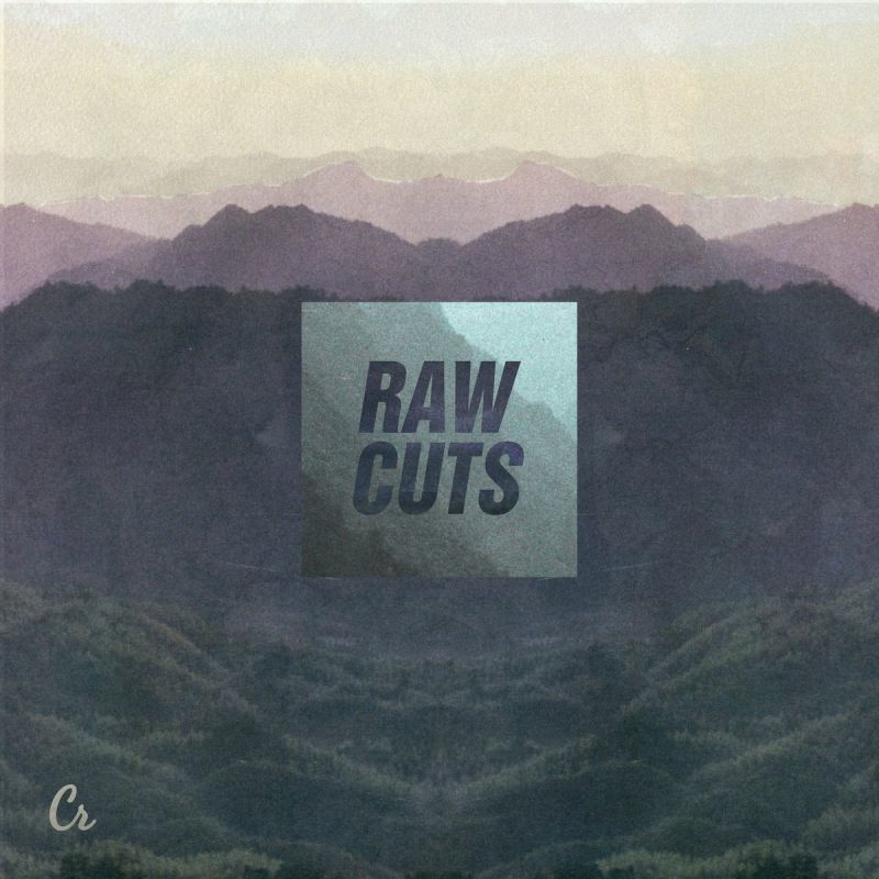 Various - Raw Cuts [Vinyl Record / LP]-Chillhop Records-Dig Around Records