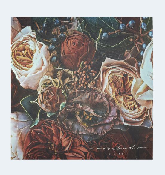 B-Side - Rosebuds [Vinyl Record / 12"]