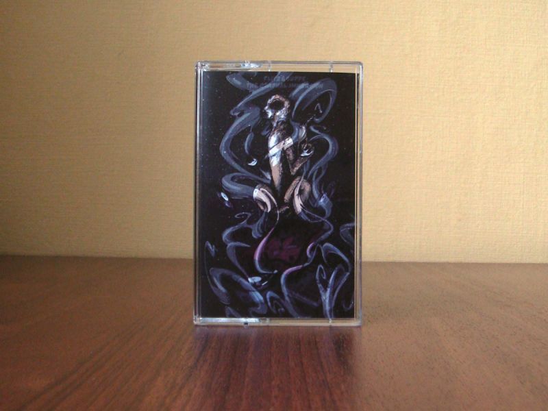 Flitz&Suppe - The Gradual Immersion [Cassette Tape]-Dirty Beauty-Dig Around Records