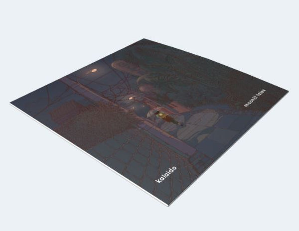 LO DOWN【FRIGHT NIGHTS】12' vinyl アングラ レア盤 PICKLE DARLING - Battlebots - LP - 'Shockwave Swirl' Colour