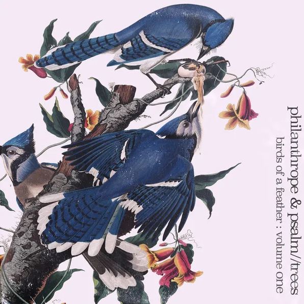 Philanthrope X Psalm Trees - Birds of a Feather: Volume One [Vinyl Record / LP]-Not On Label-Dig Around Records