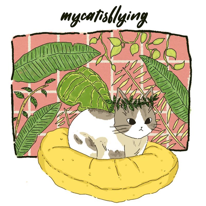 Various Artists - mycatisflying EP [Cassette Tape + Download Code + Sticker]-Orikami Records-Dig Around Records
